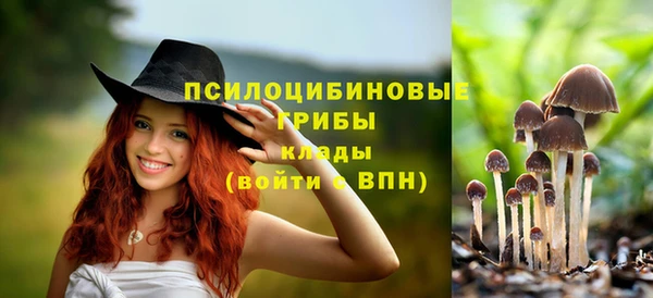 эйфоретик Абдулино