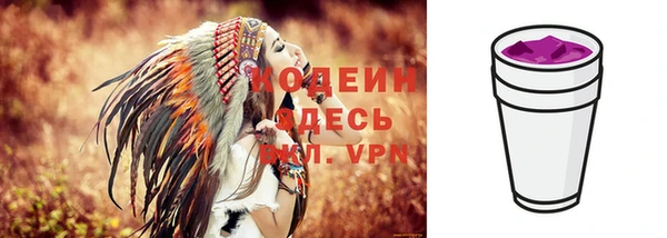 дживик Абаза