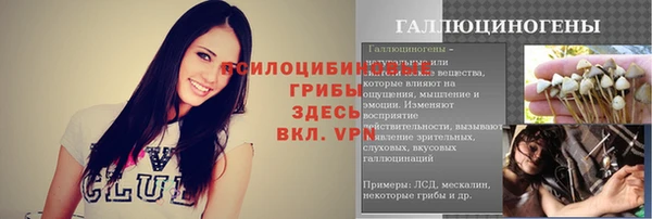 дживик Абаза